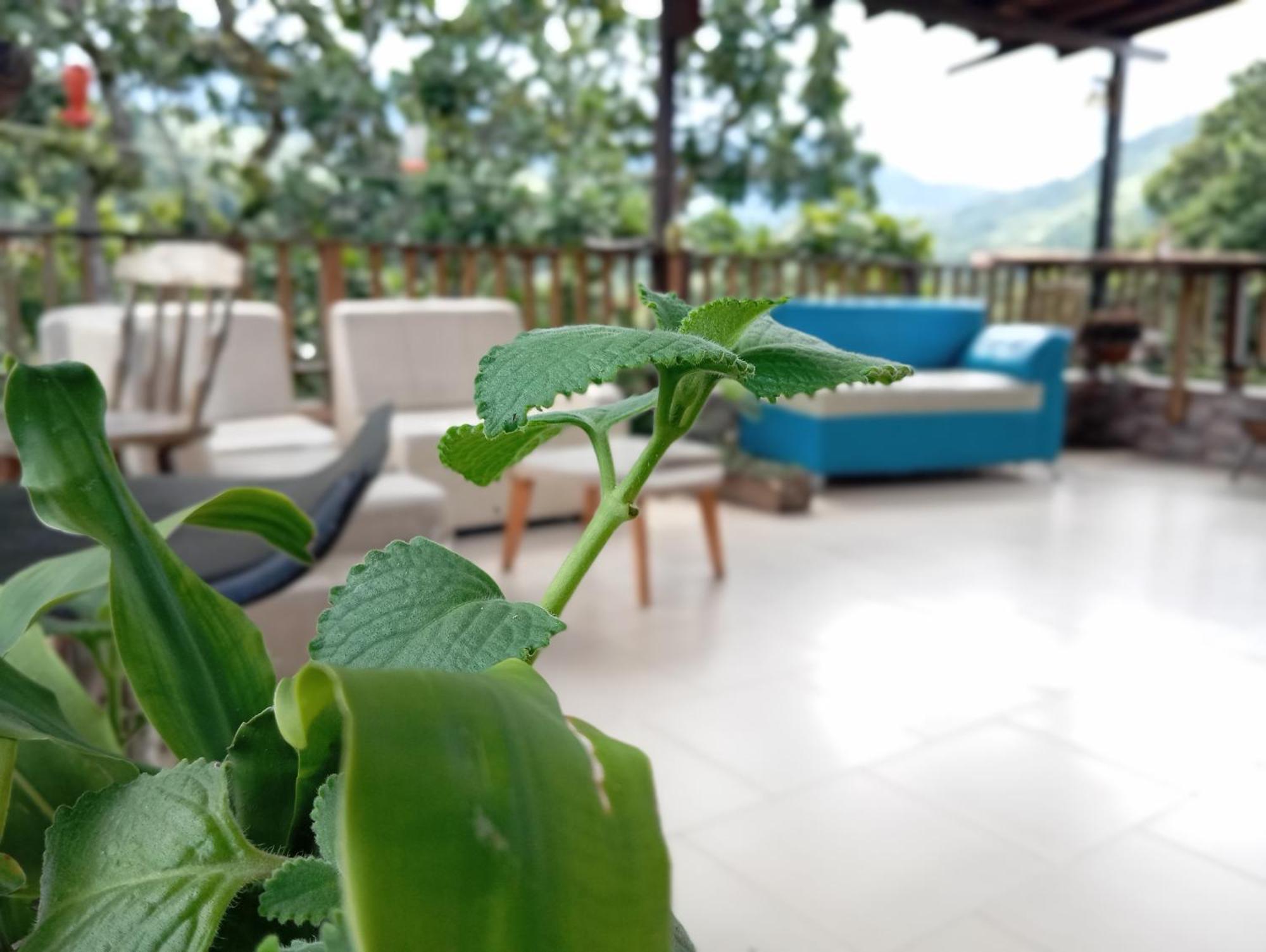 Hostal Los Wichos مينسا المظهر الخارجي الصورة